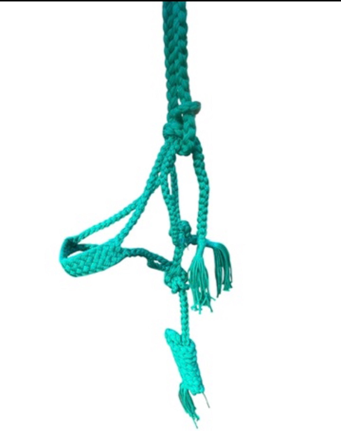 Mule Halters
